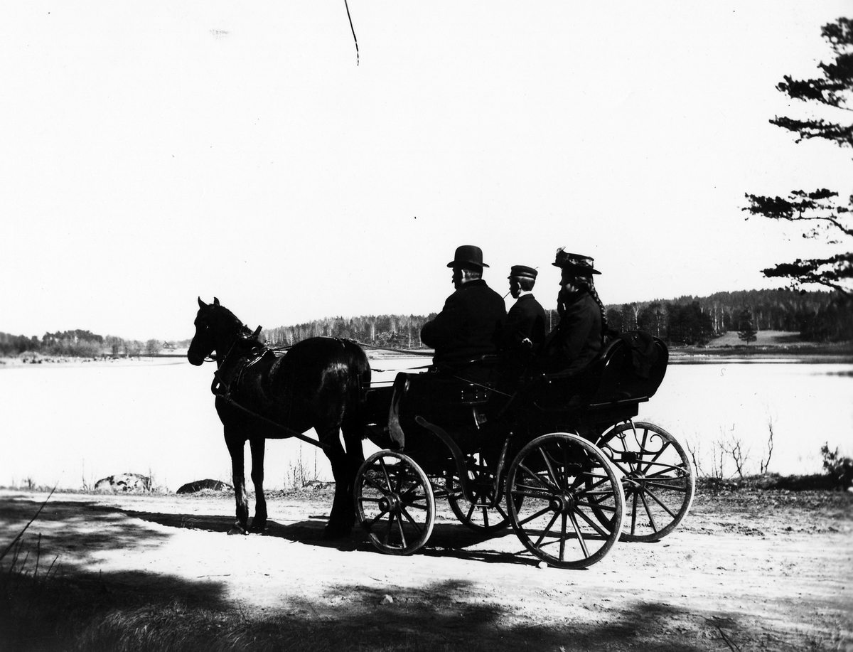 Två män och en kvinna i sitter i en hästvagn bredvid en sjö. - Alingsås ...