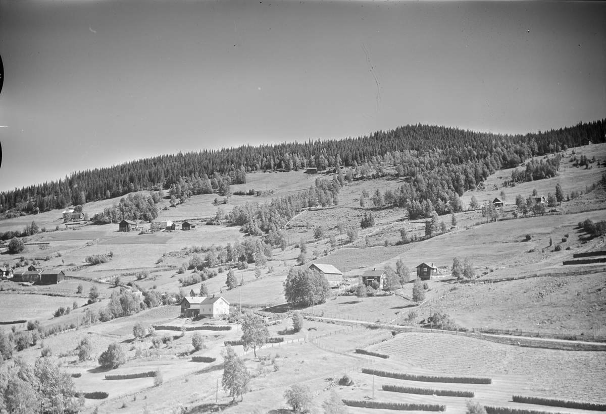 Solbakken gård og Strangstad nordre, Østsida, Tretten, Øyer, 16.07.1959 ...